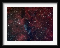 NGC 6914, reflection nebula in Cygnus Fine Art Print