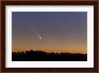 Comet Panstarrs at twilight,  Buenos Aires, Argentina Fine Art Print