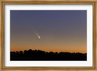 Comet Panstarrs at twilight,  Buenos Aires, Argentina Fine Art Print