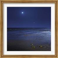 Venus shines brightly below the crescent Moon from coast of Buenos Aires, Argentina Fine Art Print