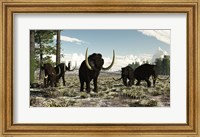 Woolly Mammoths in the prehistoric northern hemisphere Fine Art Print