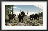 Woolly Mammoths in the prehistoric northern hemisphere Fine Art Print