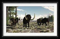 Woolly Mammoths in the prehistoric northern hemisphere Fine Art Print