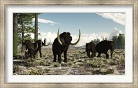 Woolly Mammoths in the prehistoric northern hemisphere Fine Art Print