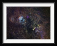 Widefield image of narrowband emission in Cygnus Fine Art Print