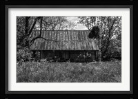 Abandoned Log Home Fine Art Print