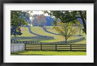 Stacked Split-Rail Fences in Appomattox, Virginia Fine Art Print