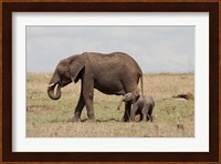 African Elephant With Baby, Maasai Mara Game Reserve, Kenya Fine Art Print