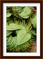 Betel Leaves (Piper Betle) Used to Make Quids For Sale at Market, Myanmar Fine Art Print