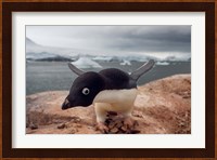 Adelie penguin, Western Antarctic Peninsula Fine Art Print