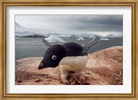 Adelie penguin, Western Antarctic Peninsula Fine Art Print