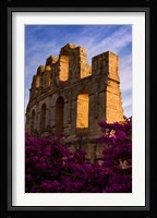 Ancient Roman Amphitheater with flowers, El Jem, Tunisia Fine Art Print