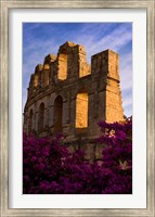 Ancient Roman Amphitheater with flowers, El Jem, Tunisia Fine Art Print