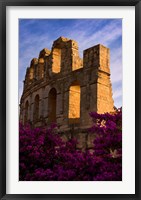 Ancient Roman Amphitheater with flowers, El Jem, Tunisia Fine Art Print