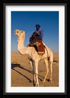Bedouin man on camel, Douz, Sahara Tunisia, Africa Fine Art Print