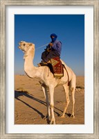 Bedouin man on camel, Douz, Sahara Tunisia, Africa Fine Art Print