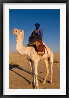 Bedouin man on camel, Douz, Sahara Tunisia, Africa Fine Art Print