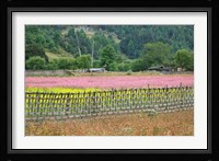 Farmland of Canola and Buckwheat, Bumthang, Bhutan Fine Art Print