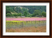 Farmland of Canola and Buckwheat, Bumthang, Bhutan Fine Art Print