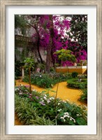 Garden Courtyard, Marrakech, Morocco Fine Art Print