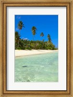 Beach, Desroches Resort, Desroches Island, Seychelles Fine Art Print