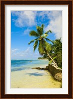Clear Waters on Mahe Island, Seychelles, Africa Fine Art Print
