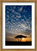 Africa. Tanzania. Sunrise in Serengeti NP. Fine Art Print