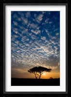 Africa. Tanzania. Sunrise in Serengeti NP. Fine Art Print