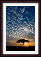 Africa. Tanzania. Sunrise in Serengeti NP. Fine Art Print
