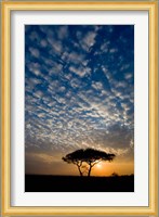 Africa. Tanzania. Sunrise in Serengeti NP. Fine Art Print