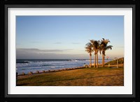 Ansteys Beach, Durban, South Africa Fine Art Print