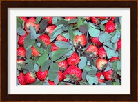 China, Chongqing, Strawberries in fruit market Fine Art Print