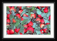 China, Chongqing, Strawberries in fruit market Fine Art Print