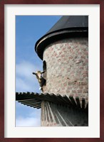 Fairview winery, goat tower, Paarl, South Africa Fine Art Print