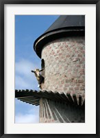 Fairview winery, goat tower, Paarl, South Africa Fine Art Print