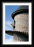 Fairview winery, goat tower, Paarl, South Africa Fine Art Print