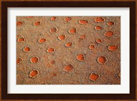 Fairy circles dotting the landscape of the Namib-Rand Nature Reserve, Sossusvlei, Nambia Fine Art Print
