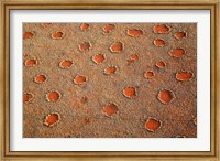 Fairy circles dotting the landscape of the Namib-Rand Nature Reserve, Sossusvlei, Nambia Fine Art Print
