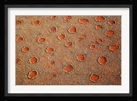 Fairy circles dotting the landscape of the Namib-Rand Nature Reserve, Sossusvlei, Nambia Fine Art Print