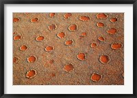 Fairy circles dotting the landscape of the Namib-Rand Nature Reserve, Sossusvlei, Nambia Fine Art Print