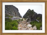 Hiking Up Table Mountain, Cape Town, Cape Peninsula, South Africa Fine Art Print