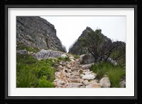 Hiking Up Table Mountain, Cape Town, Cape Peninsula, South Africa Fine Art Print