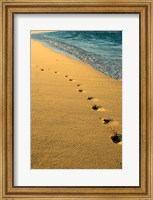 Footprints in the Sand, Mauritius, Africa Fine Art Print