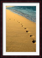 Footprints in the Sand, Mauritius, Africa Fine Art Print