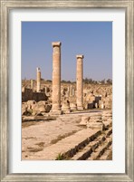 Ancient Architecture, Sabratha Roman site, Libya Fine Art Print
