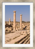 Ancient Architecture, Sabratha Roman site, Libya Fine Art Print