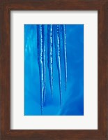 Antarctica, Icicles hanging from the roof of a glacial ice cave. Fine Art Print