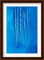 Antarctica, Icicles hanging from the roof of a glacial ice cave. Fine Art Print
