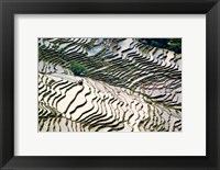 Flooded Bada Rice Terraces, Yuanyang County, Yunnan Province, China Fine Art Print