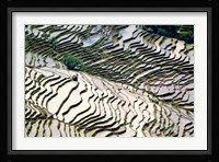 Flooded Bada Rice Terraces, Yuanyang County, Yunnan Province, China Fine Art Print